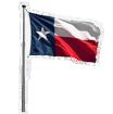 Texas Flag